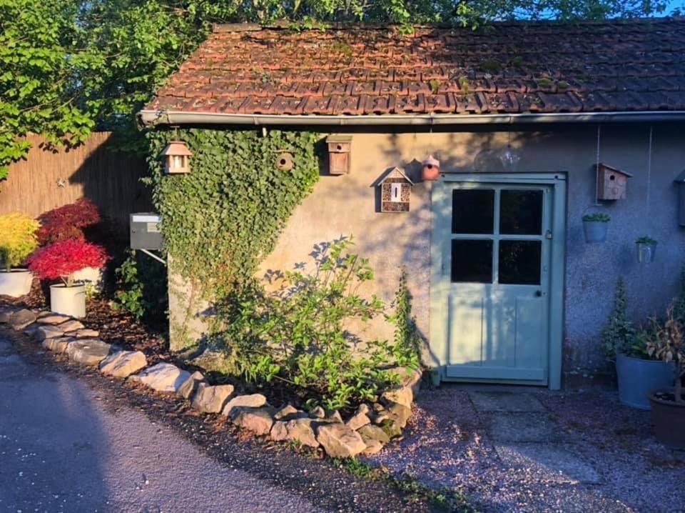 Gite Le Domaine D Orphee Marmagne  Exterior foto